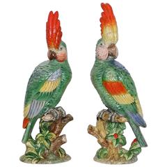 Italian Majolica Parrots