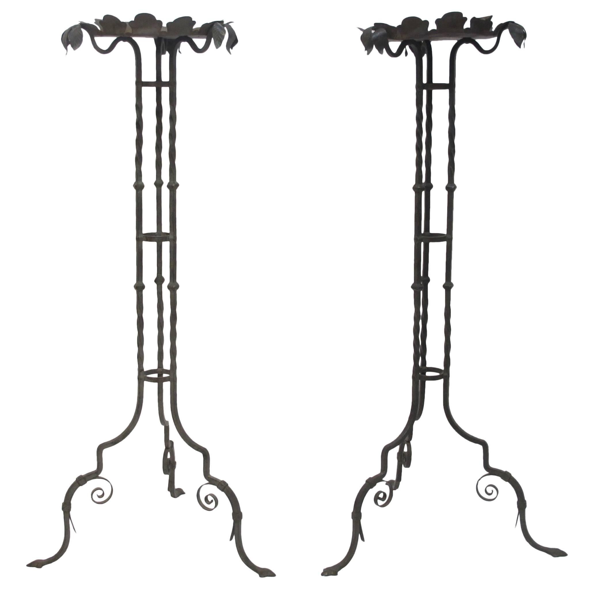 Iron Fern Plant Stands