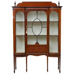 Antique Edwardian Mahogany Display Cabinet, Vitrine