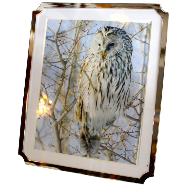 Silverplate Frame For Sale
