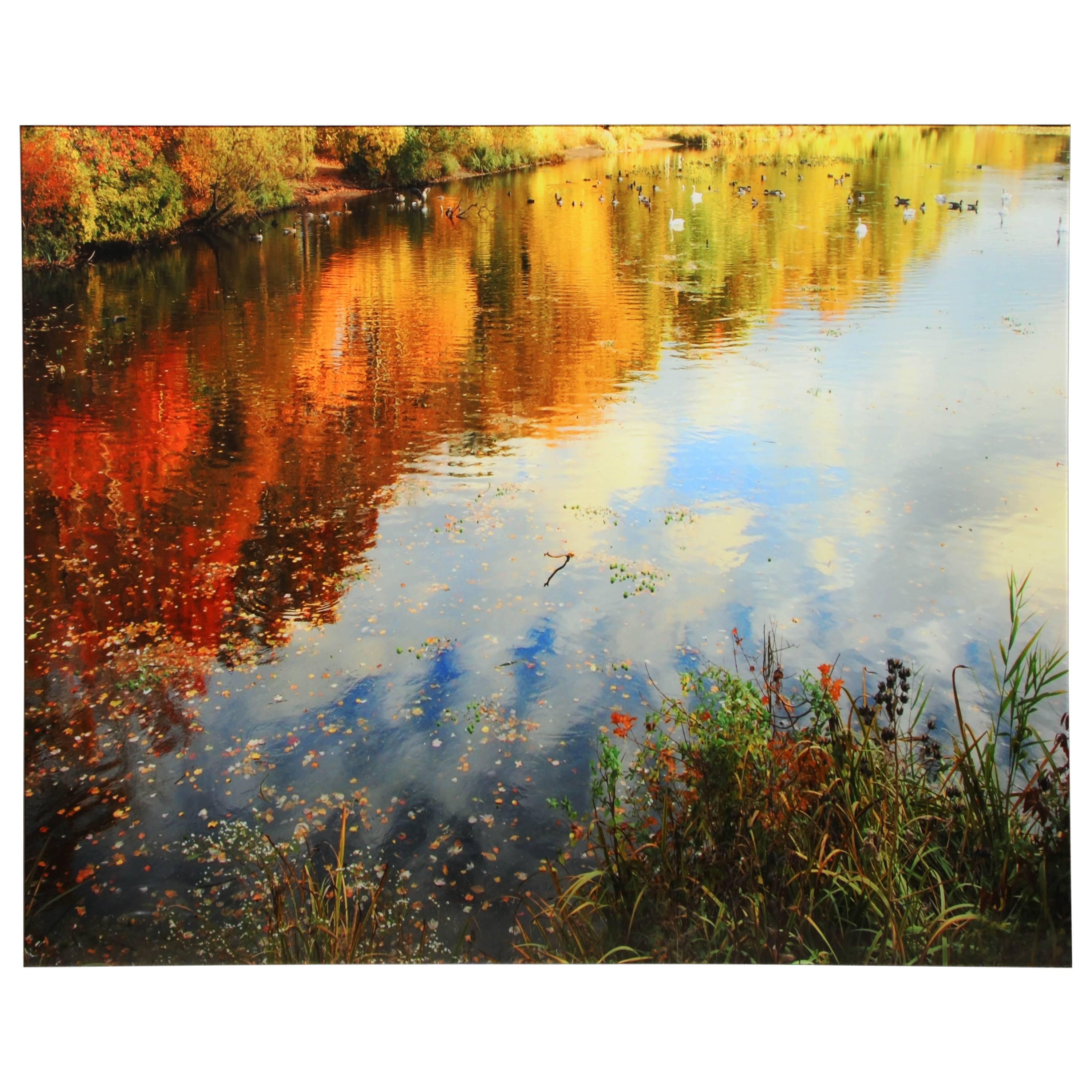 Contemporary Photographic Landscape "Reflection Series 2" by Deann Arce For Sale