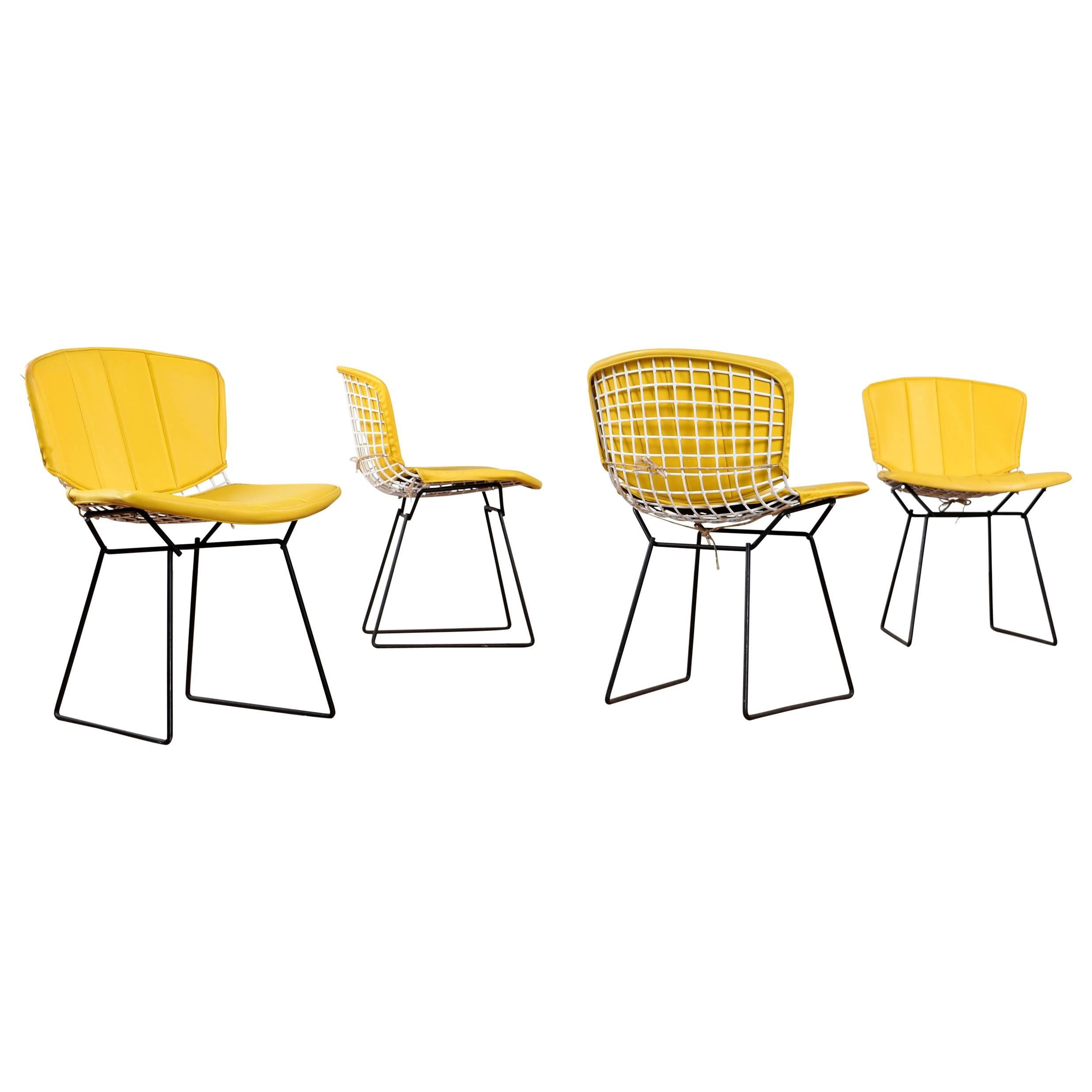 Mid Century Modern Bertoia Knoll Chairs with Yellow Pads
