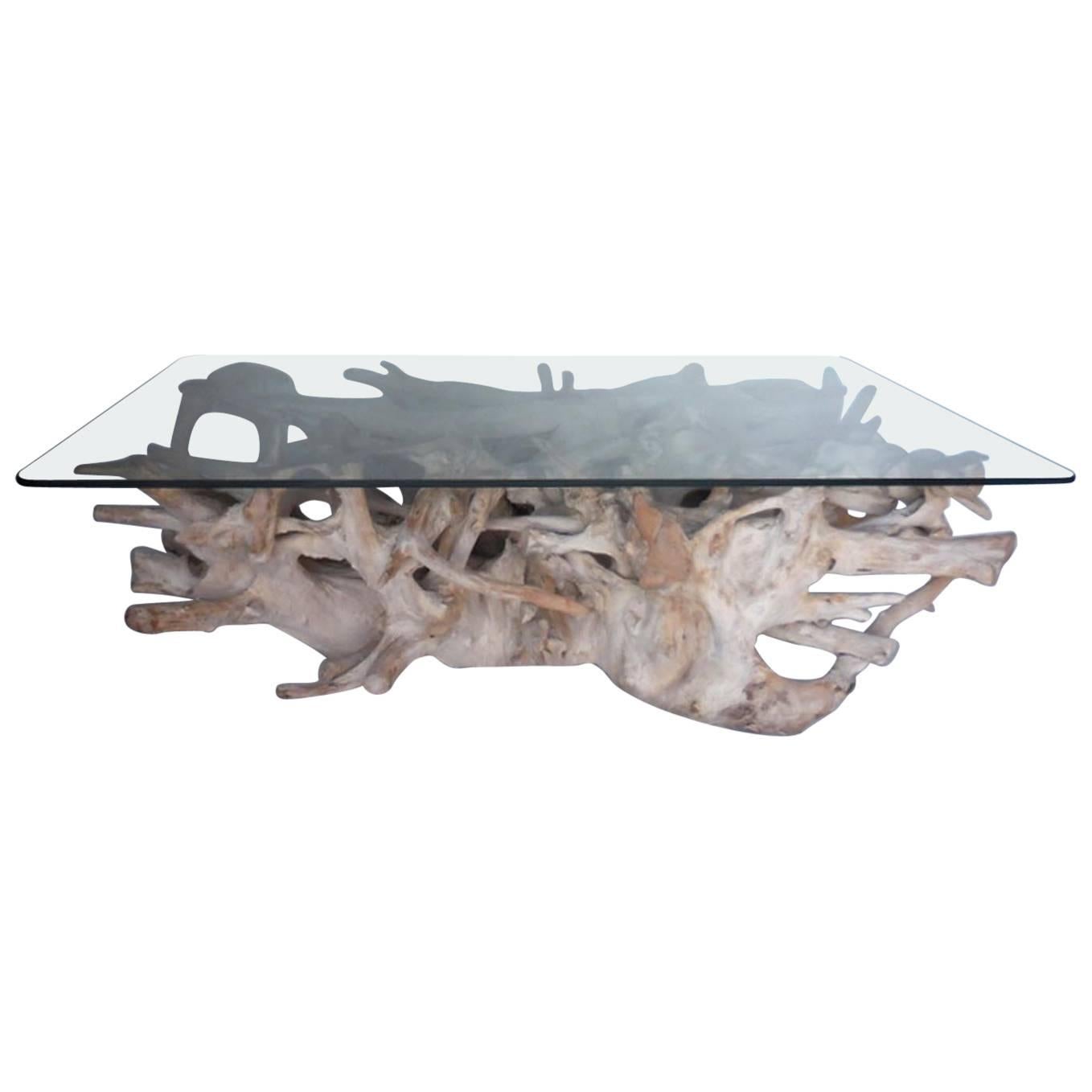 Sculptural Teak Root Coffee Table with Glass Top
