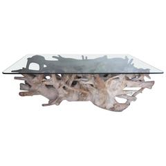 Sculptural Teak Root Coffee Table with Glass Top