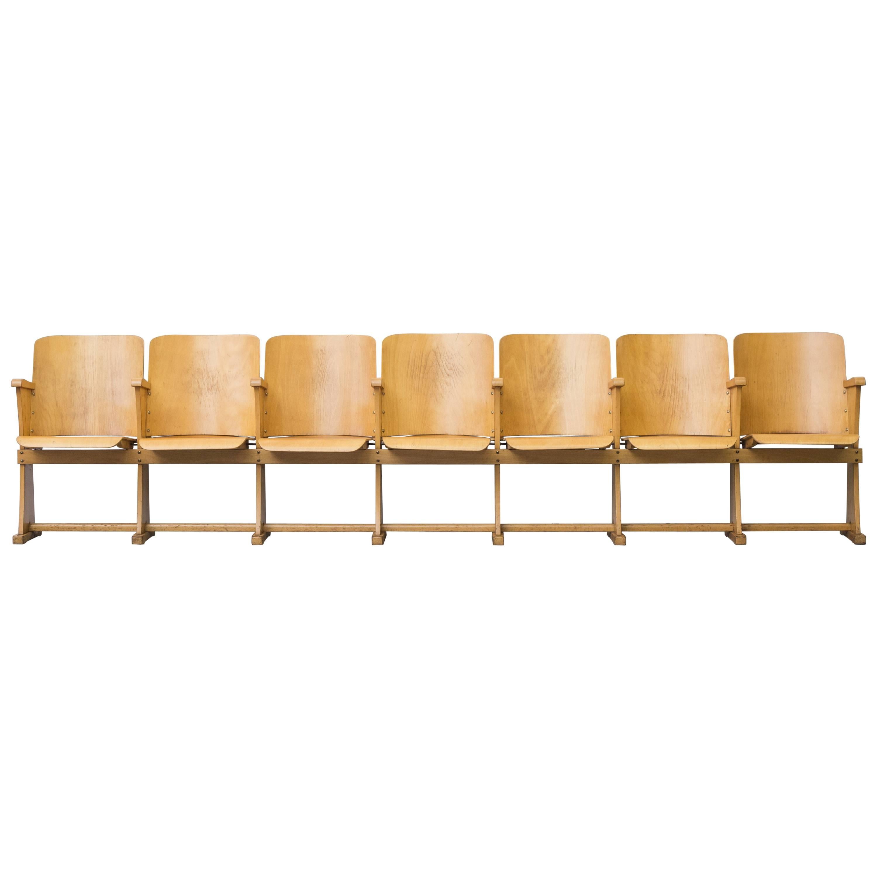 Row of Birch Numbered Theatre Seats