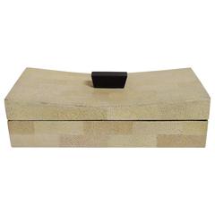 Beige Shagreen Box 6