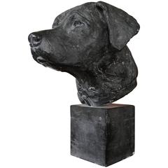 Vintage Unique Sculpture / Bust of a Labrador Retriever 20th Century Beautiful Quality