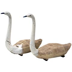 Very Rare Pair of Swan Decoys, Denmark, circa 1900