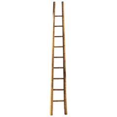 Tall French Bamboo Orchard Ladder