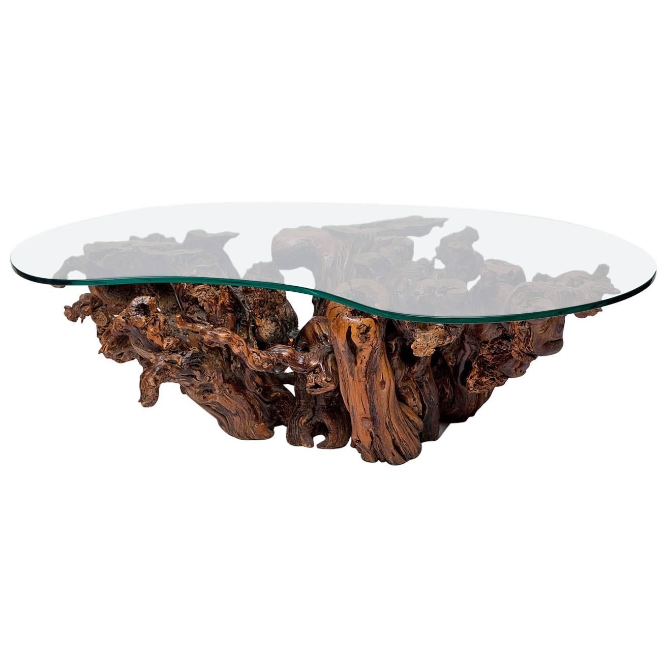 Mid-Century Burl Wood Coffee Table