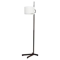 Miguel Milá TMC Floor Lamp, circa 1950