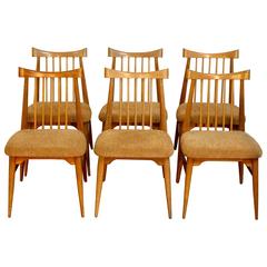 Set of Six Mid-Century Modern Brown Saltaman Ribbon Mahogany Dining Chairs