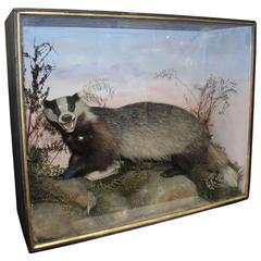 Cased Antique Hutchinson Taxidermy Badger and Rabbit