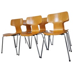 Six Model 3103 Beech Hammer/T Chairs by Arne Jacobsen for Fritz Hansen