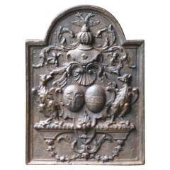 Vintage French Louis XIV Style Arms Fireback
