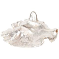 Silver Plated Miniature Conch Shell