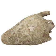 Ancient Roman Encrusted Redware Amphora