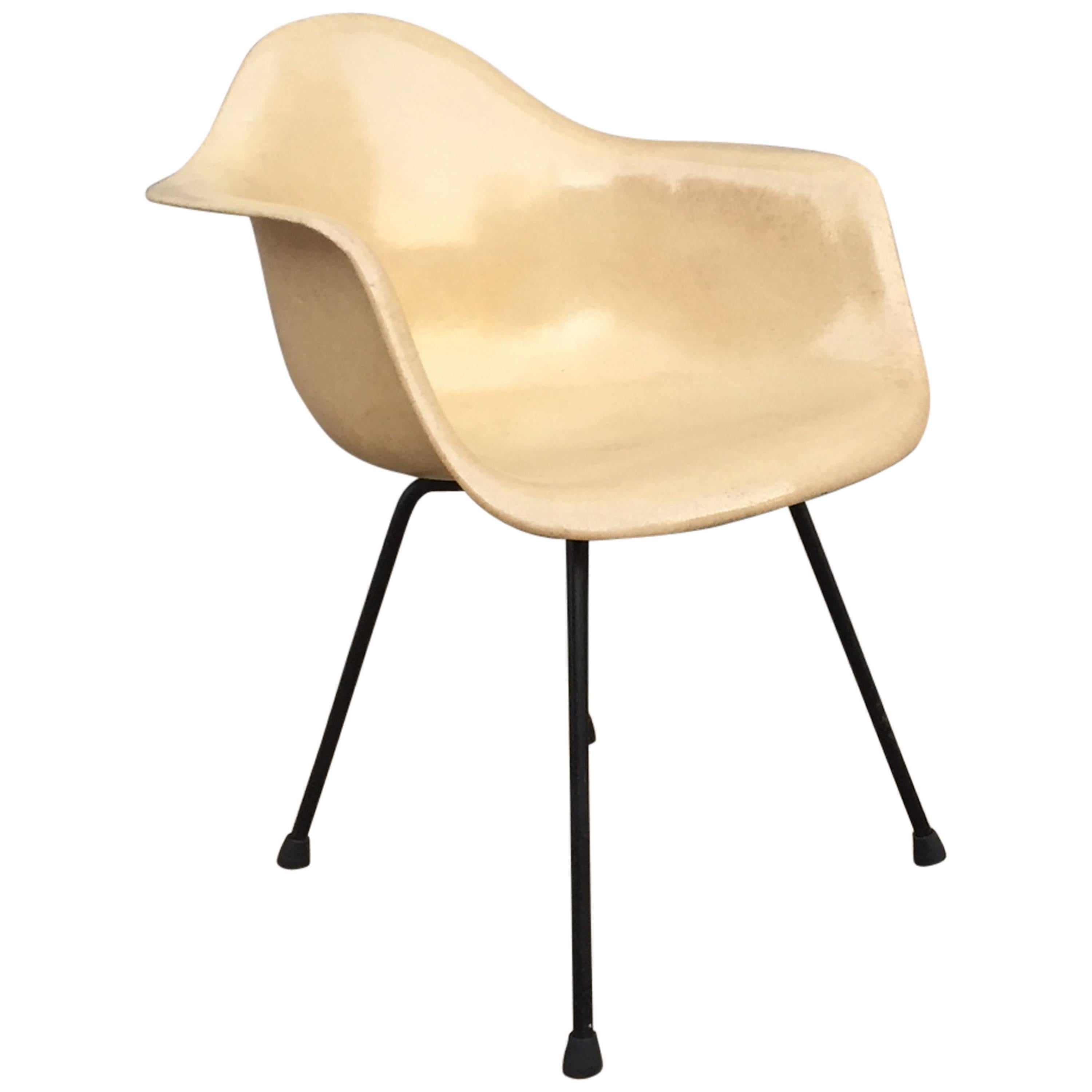 Transitional Eames Zenith Shell Chair on X-Base