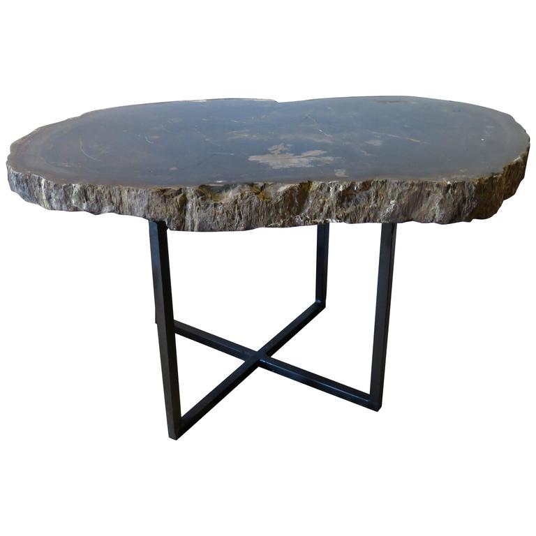 Black And Gray Petrified Wood Coffee Or Side Table