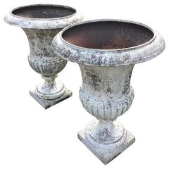 Magnificent Pair of Estate-Sized Early French Cast Iron Medici Urns