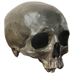 Cast Bronze Silver Skull