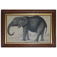 Original Antique Print of An Elephant, 1847