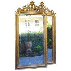 19th Century Antique French Extremely Tall Pair of Louis XV Gilded Mirrors
