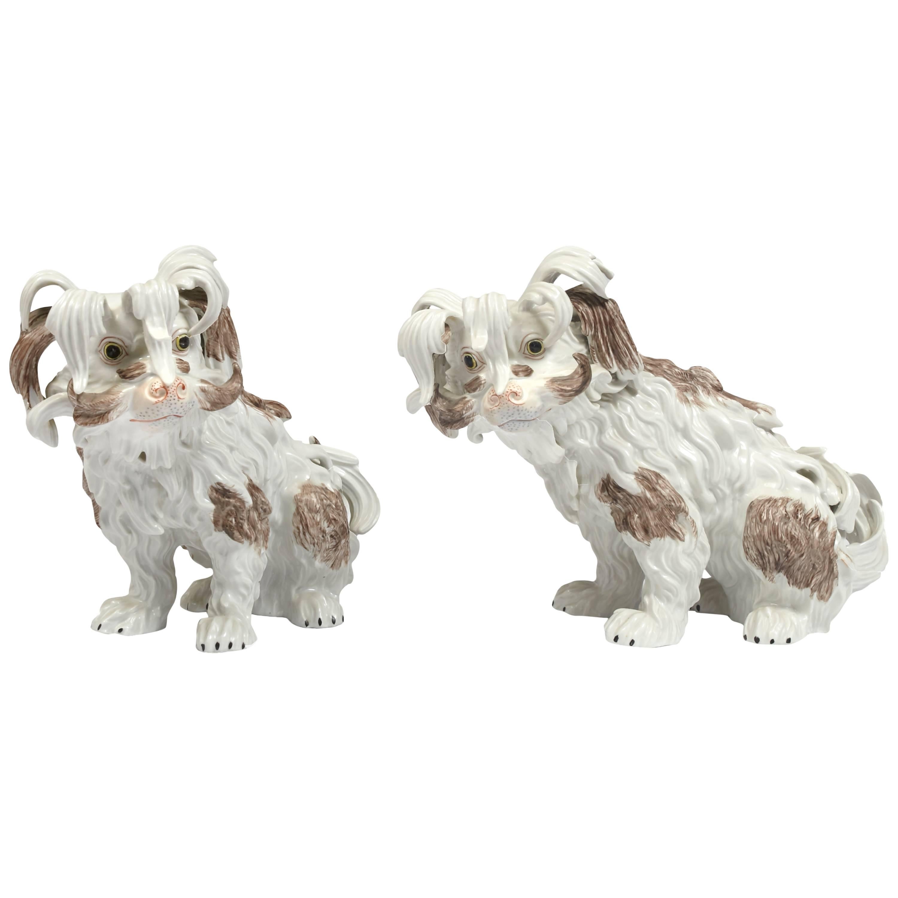 Pair of Dresden Porcelain Bolognese Dogs For Sale