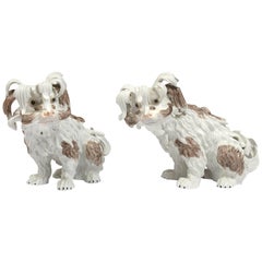 Pair of Dresden Porcelain Bolognese Dogs