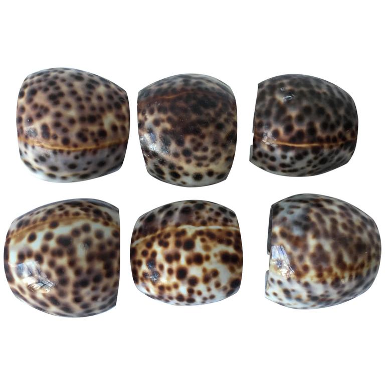 Shell Napkin Rings, Set of Six at 1stDibs | shell napkin holder
