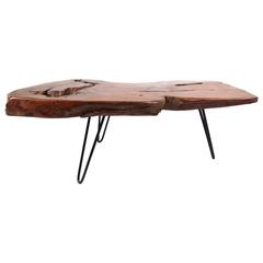 Rustic Modern Free Edge Tree Slab Coffee Table on Hairpin Legs