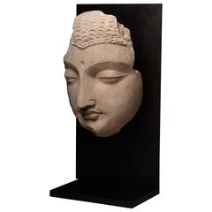 Exceptionnelle sculpture ancienne de tête de Bouddha Gandharan, 350 av. J.-C.
