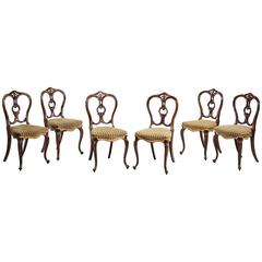 Set of Six Mid-Victorian Rosewood Balloon Back Chairs 7