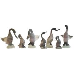 Collection of Seven Cenedese Murano Glass Birds 2