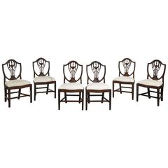 Set of Six George III Period Mahogany Hepplewhite Chairs