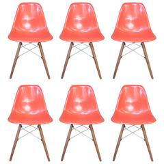 Six Herman Miller Eames Dining Chairs