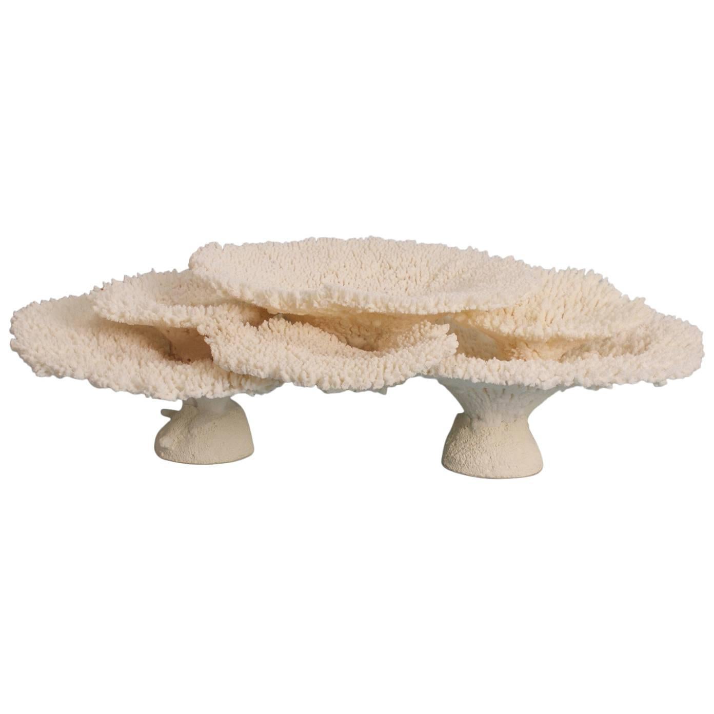 Authentic Table Coral Sculpture