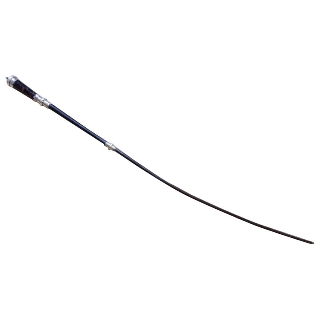 Early 18th Century Tortoiseshell and Silver Mounted Riding Whip For Sale