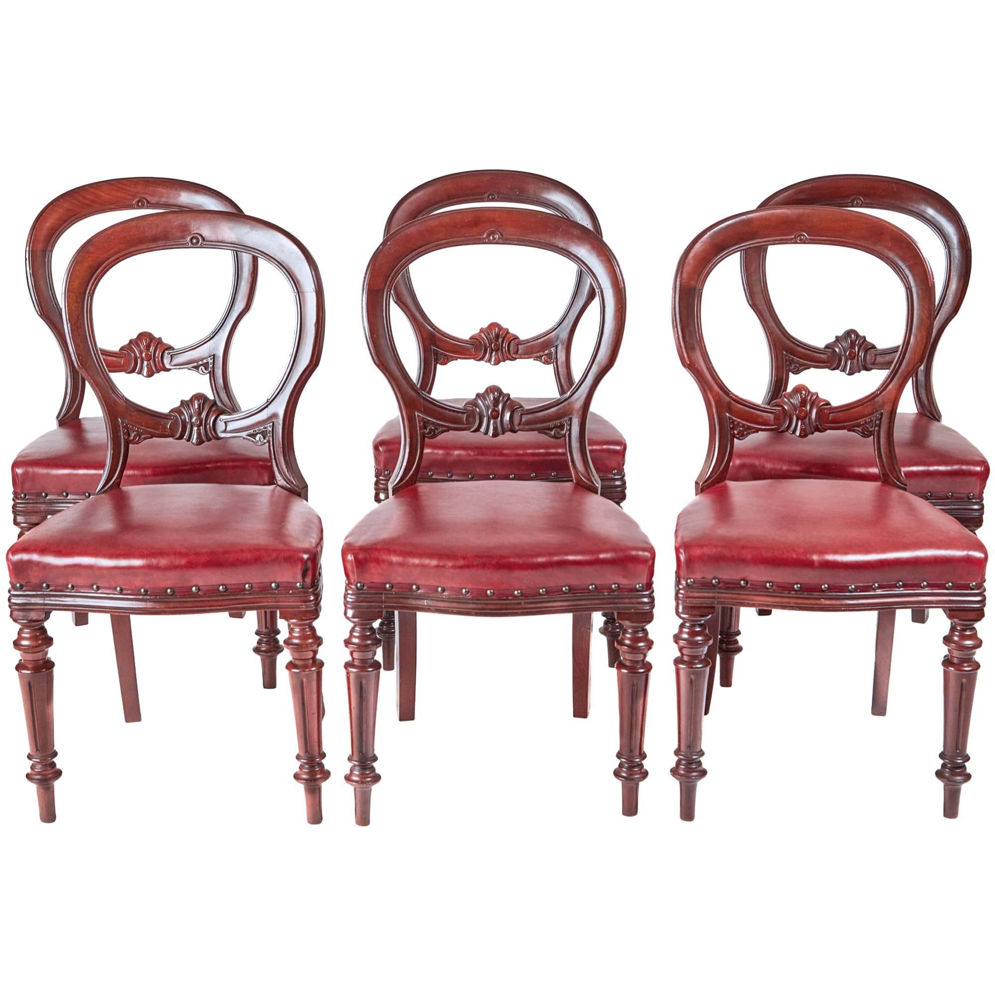 Set of Six 19th Century Balloon Back Leather Dining Chairs
