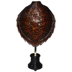 20th Century Sea Turtle Shell Shield on Stand