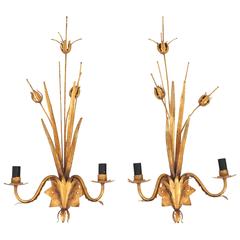 1950s French Thistle and Leaf Gold Metal Wall Lights