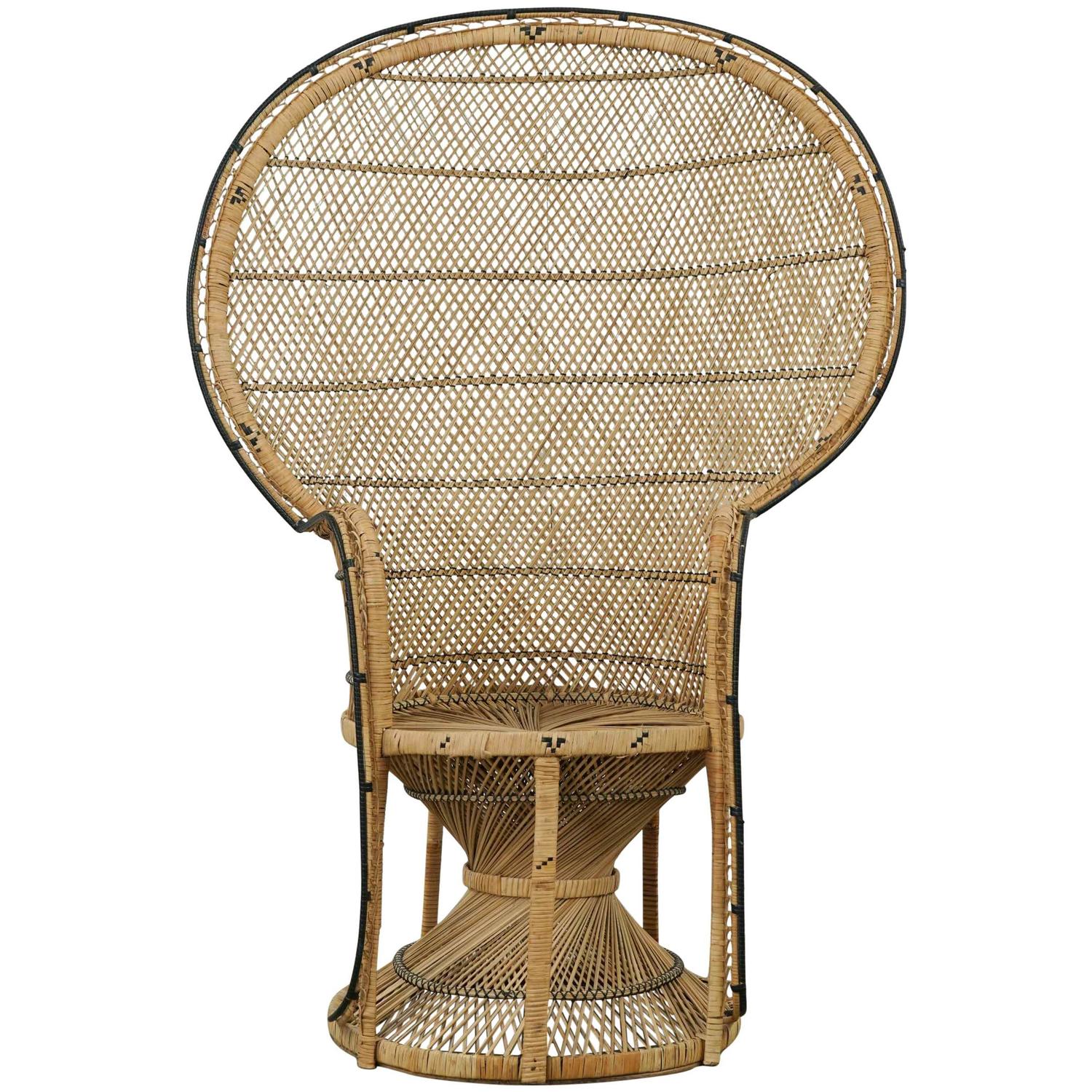 Vintage Peacock Chair with Black Trim For Sale at 1stdibs