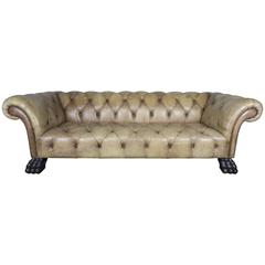 English Leather Chesterfield Style Sofa with Paw Feet