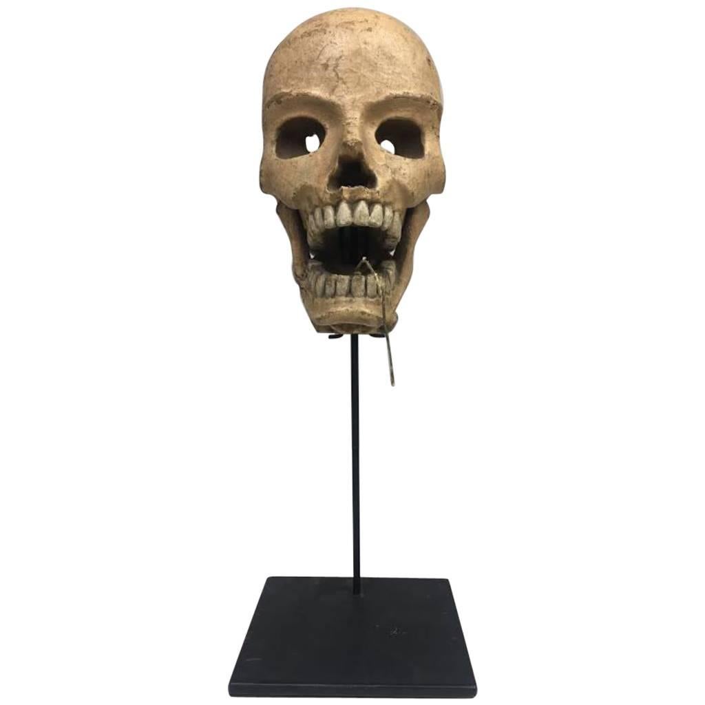 Vintage Articulated Skull