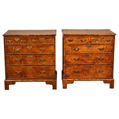Pair of English Walnut Chest of Drawers