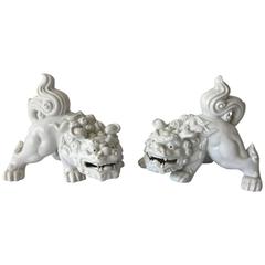 Vintage Blanc De Chine Foo Dog Statues, Pair