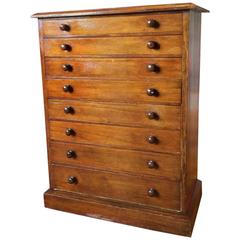 Antique Collectors Chest of Drawers Mahogany Victorian, 19th Century
