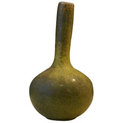 Axel Salto Gourd