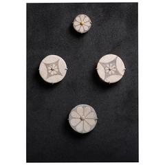 Ancient Egyptian Faience Daisy Flower Rosettes, 1550 BC 5