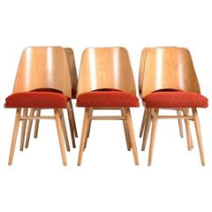 Set of Six Thonet Chairs 12